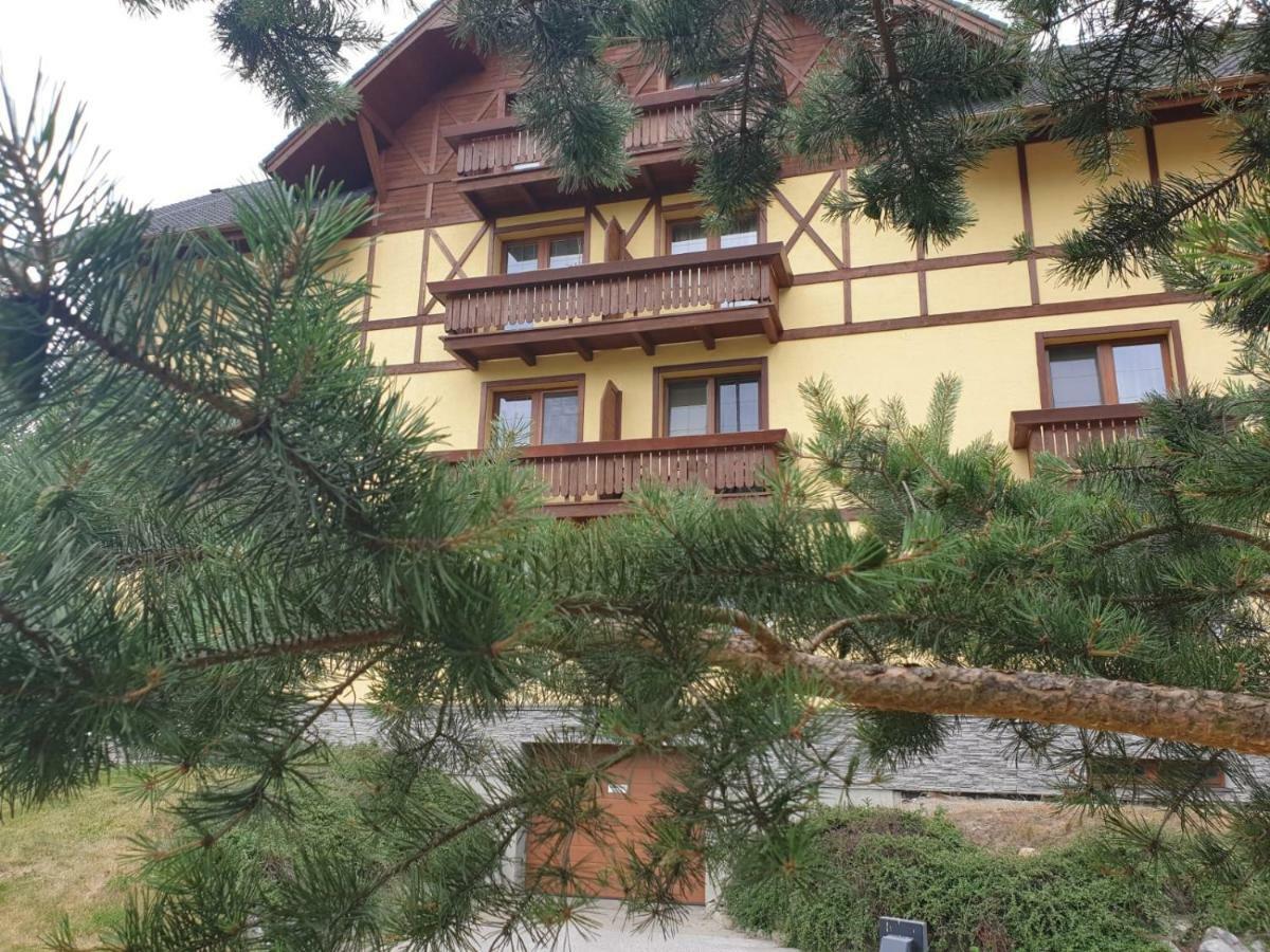 Apartman Erika Vel'ka Lomnica Dış mekan fotoğraf